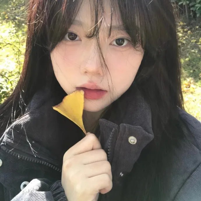 黄金拼图第一季
